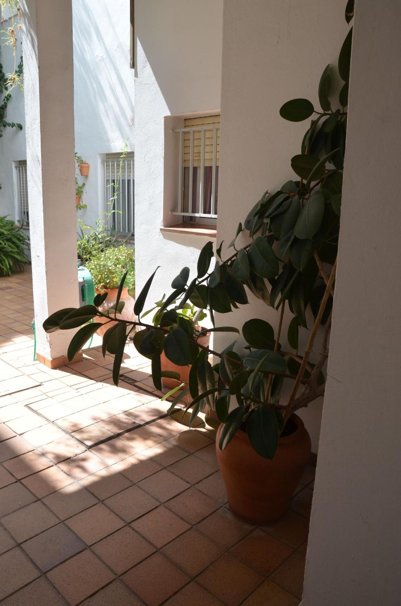 Hotel El Coloso Jerez de la Frontera Exterior photo